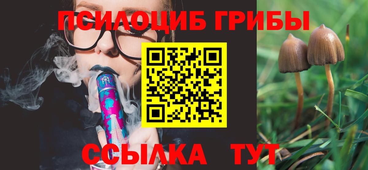 Ртищево  Псилоцибиновые грибы прущие грибы  Вход с VPN 
